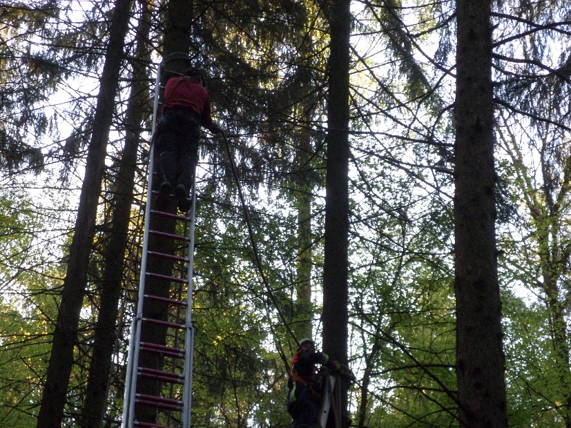 Maibaum_2016 (23)